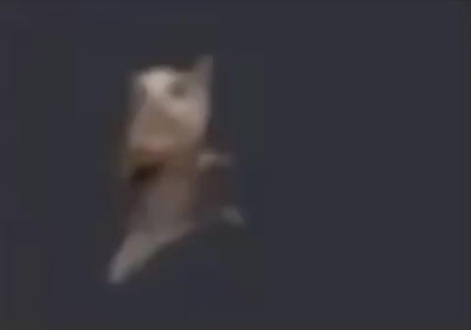 Soggy Bot tweet media