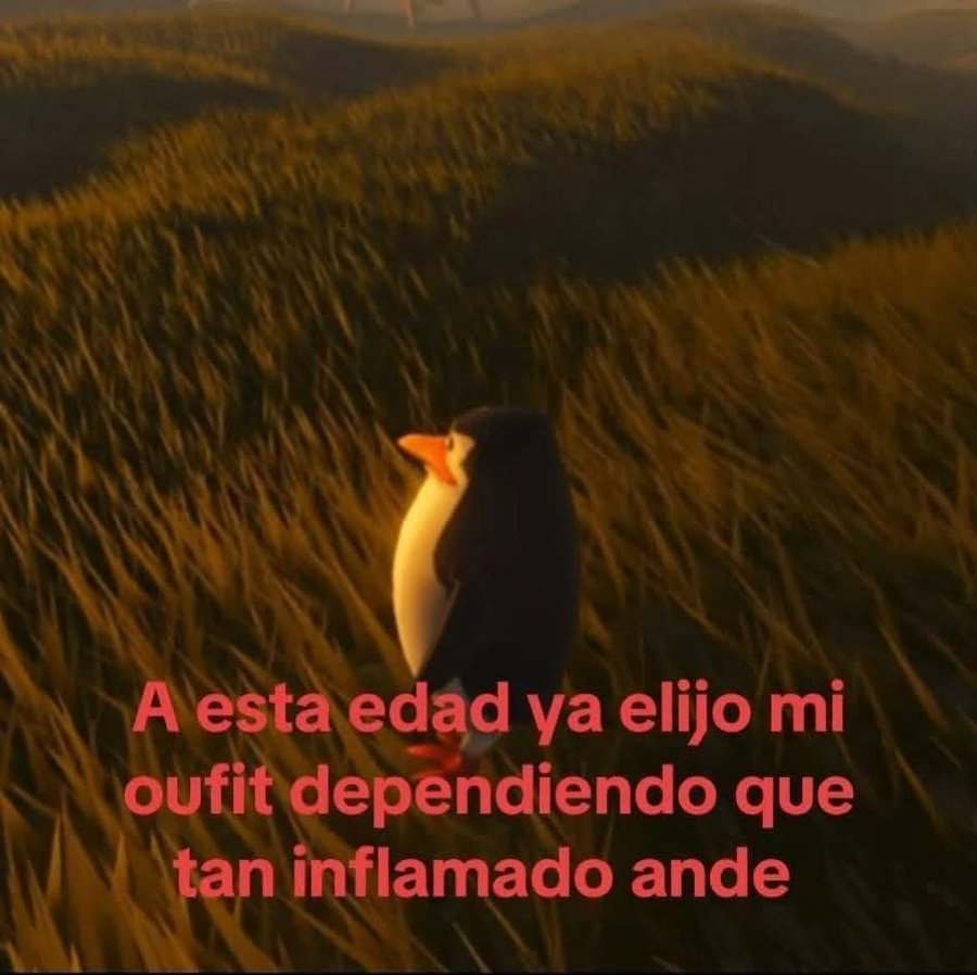 Salvador Iglesias Jr tweet media