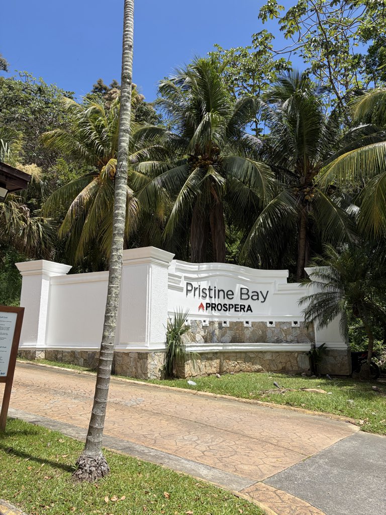 Petar Čekerevac tweet media