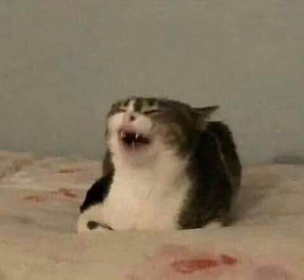 Taekashi tweet media