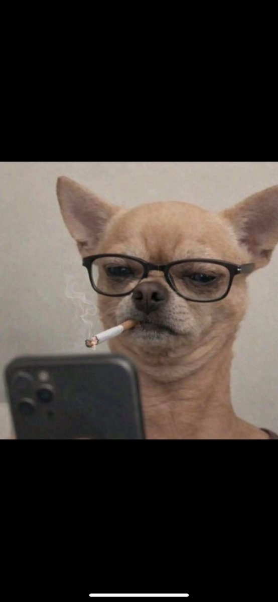 DC.DreamCha$er ✘❤Ø tweet media