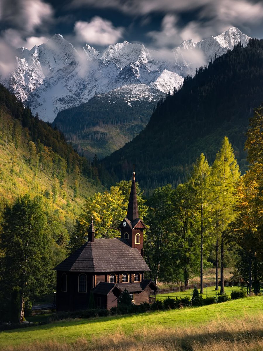 Seascape Nature tweet media