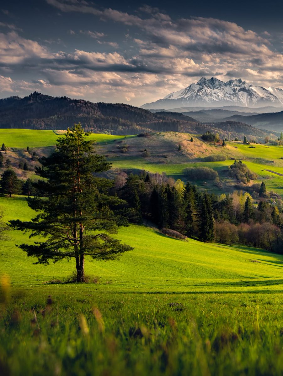 Seascape Nature tweet media