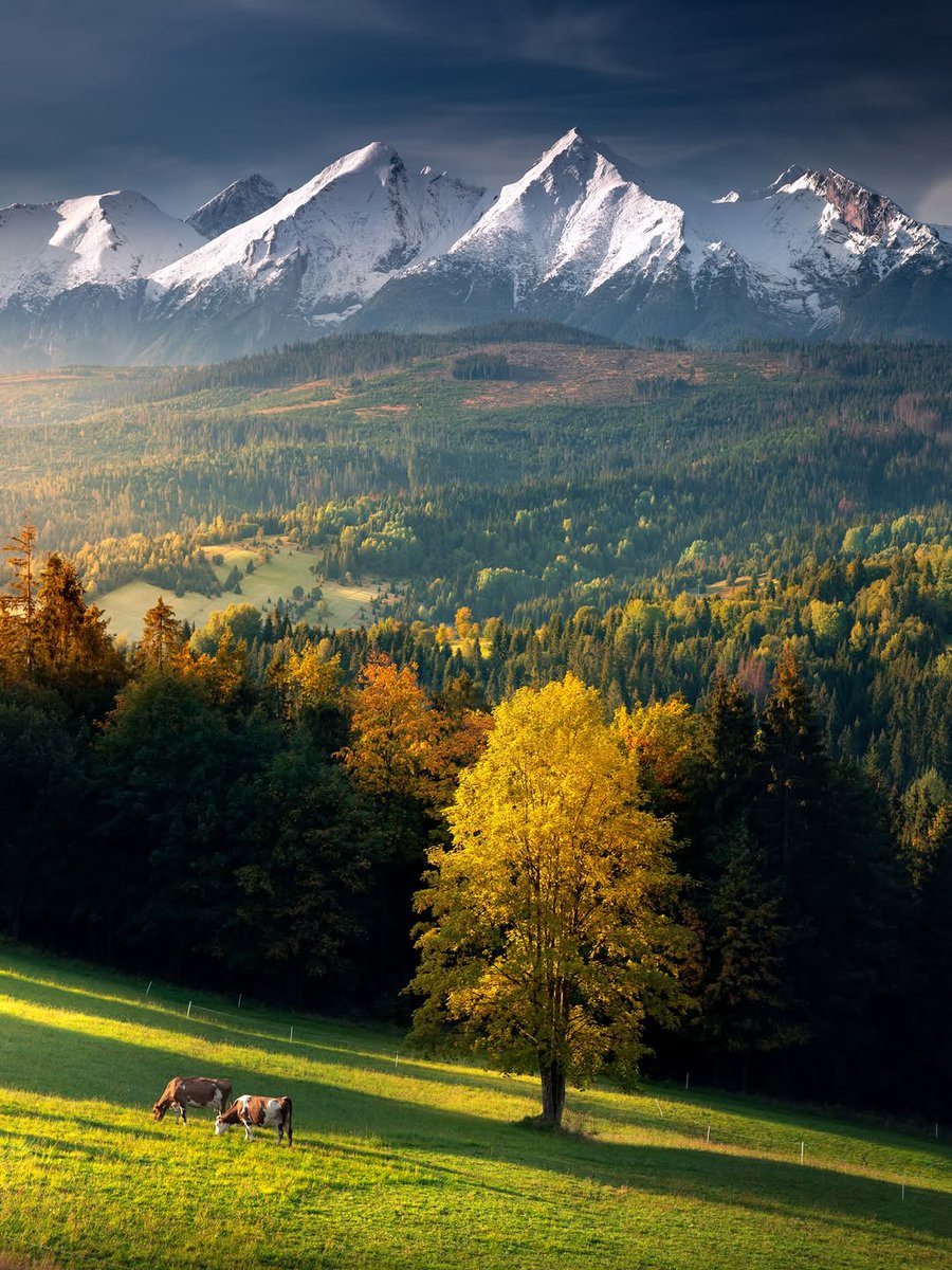 Seascape Nature tweet media