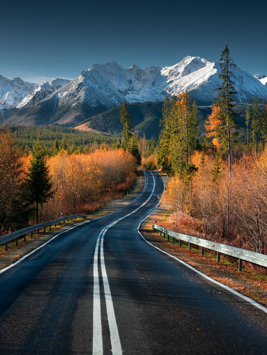 Seascape Nature tweet media