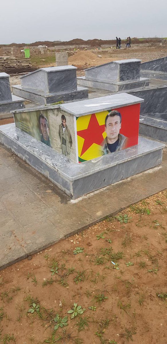 Zerdeşt Roj tweet media