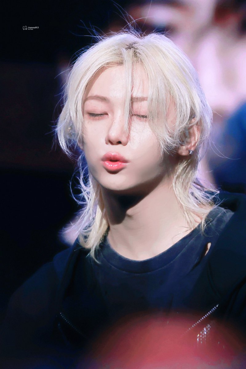 lixiepixie tweet media