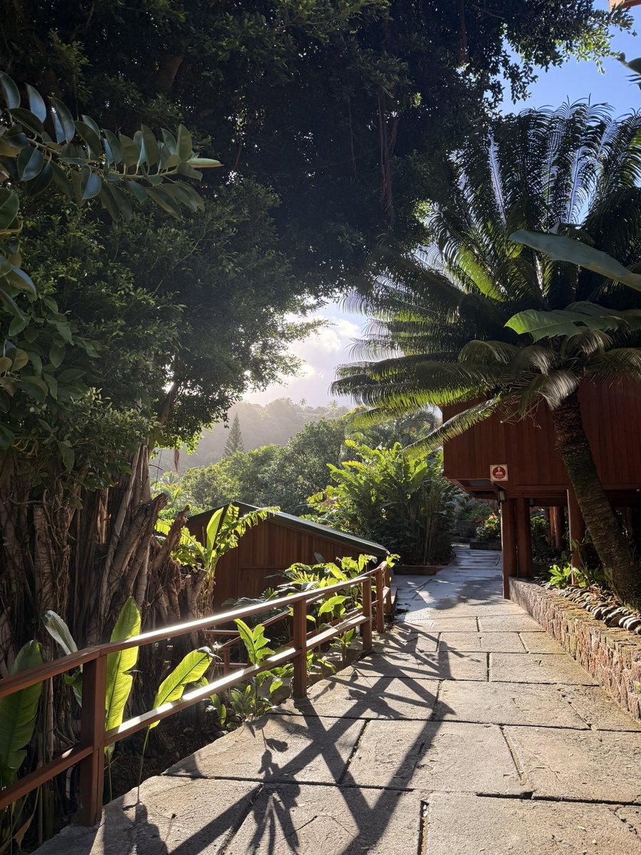 Stacey✨ tweet media