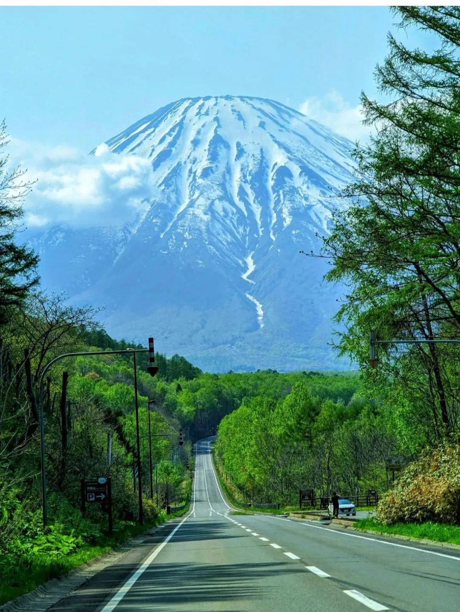 Jessica Crudele tweet media