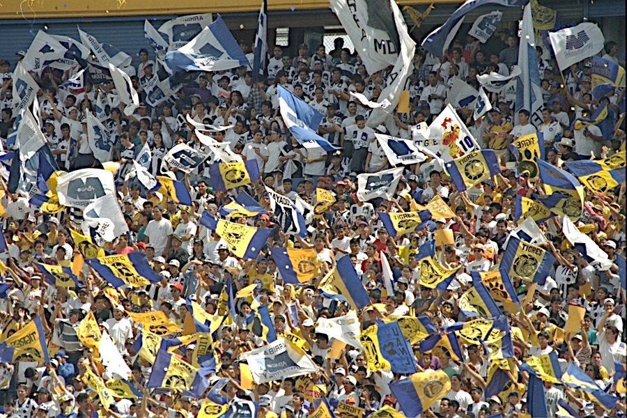 San Cadilla El Norte tweet media