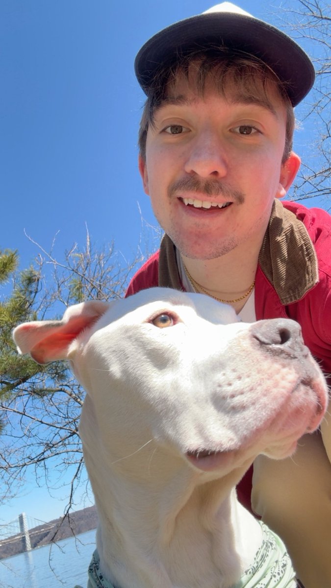 cinephile sicko tweet media