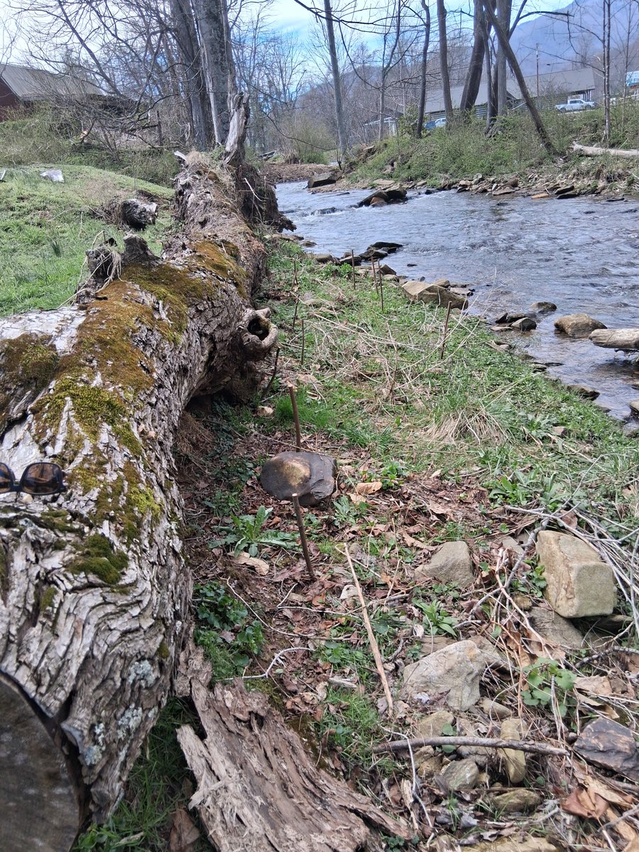 haywoodwaterway's tweet photo. Thanks to the crew from the Haywood Community Learning Center (HCLC) for joining us last week! 

With 4 students and 1 staff member, we successfully planted 75 live stake shrubs and 2 new trees. Great job, team!

#HaywoodCounty #HCLC #NativePlanting #828isGreat #RichlandCreek https://t.co/jNlmKKjWl2
