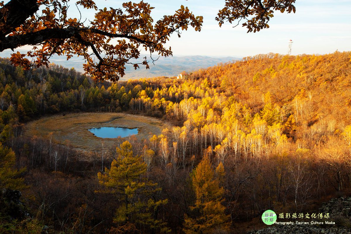 Shantanu tweet media