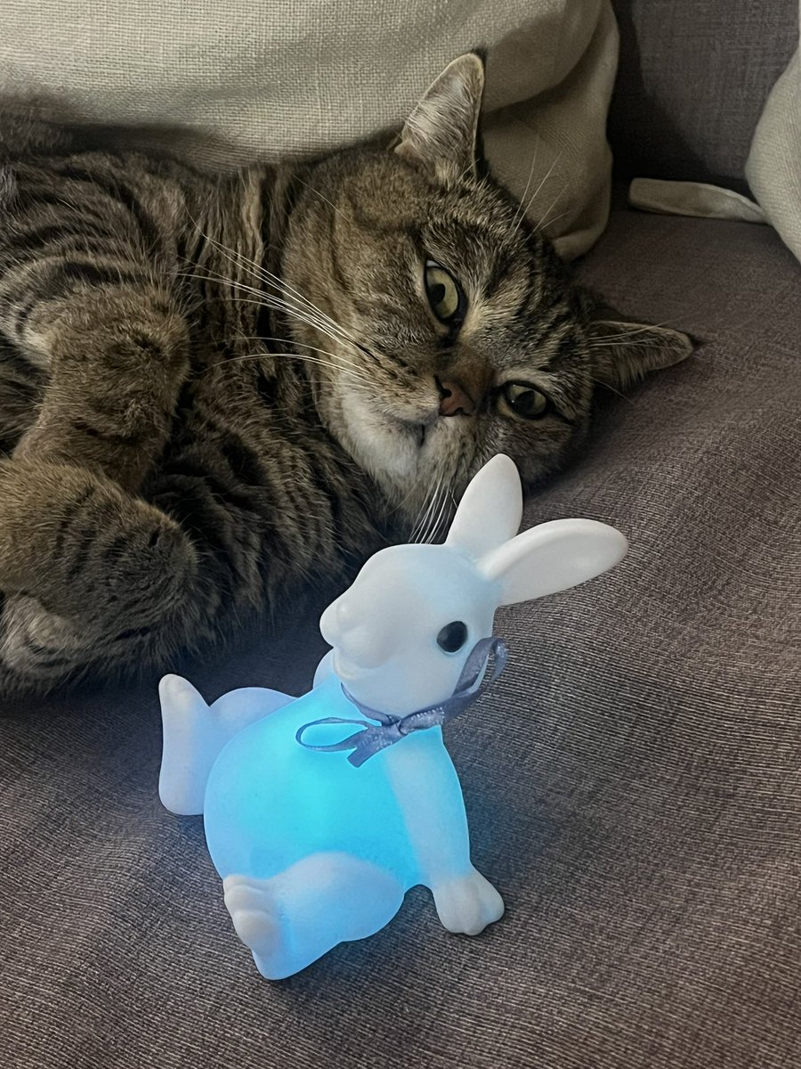 ❤️Atrebor❤️ tweet media