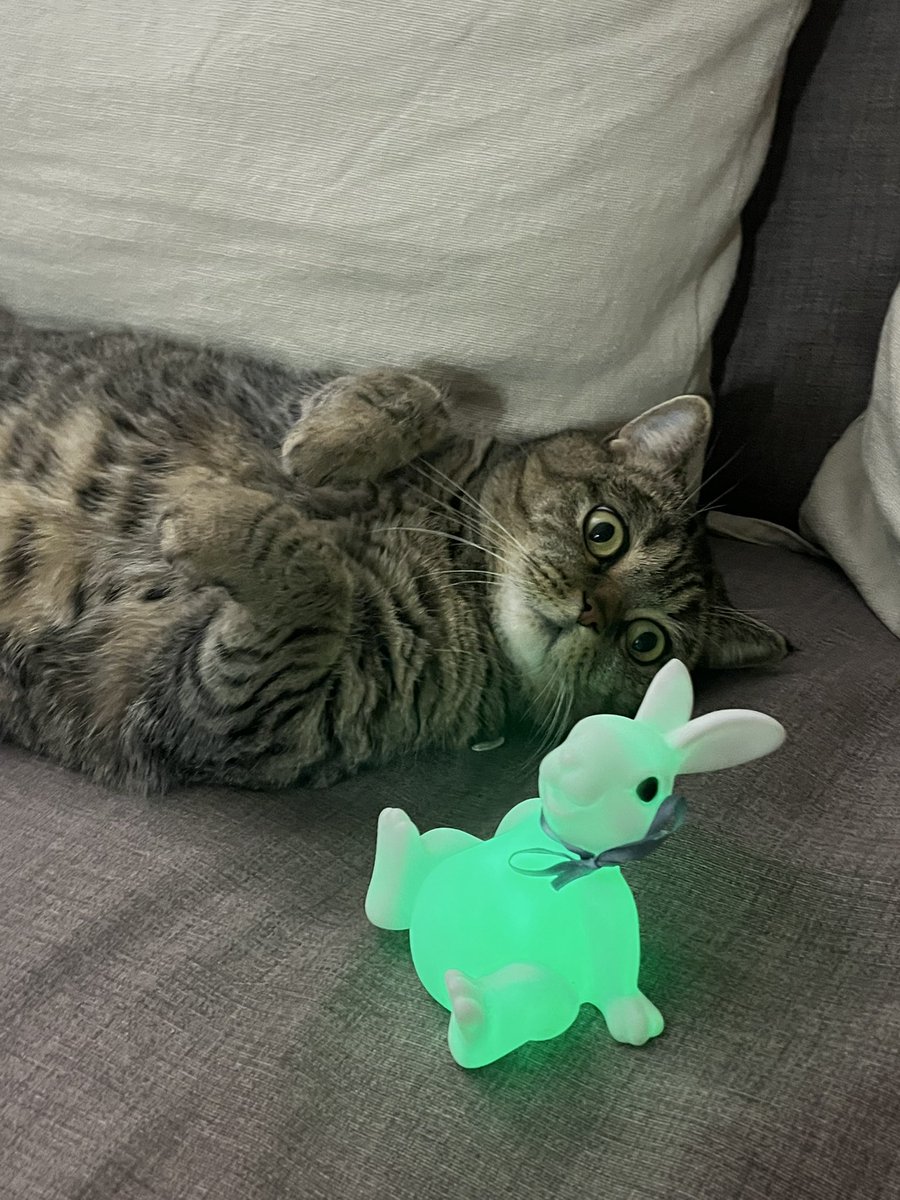 ❤️Atrebor❤️ tweet media