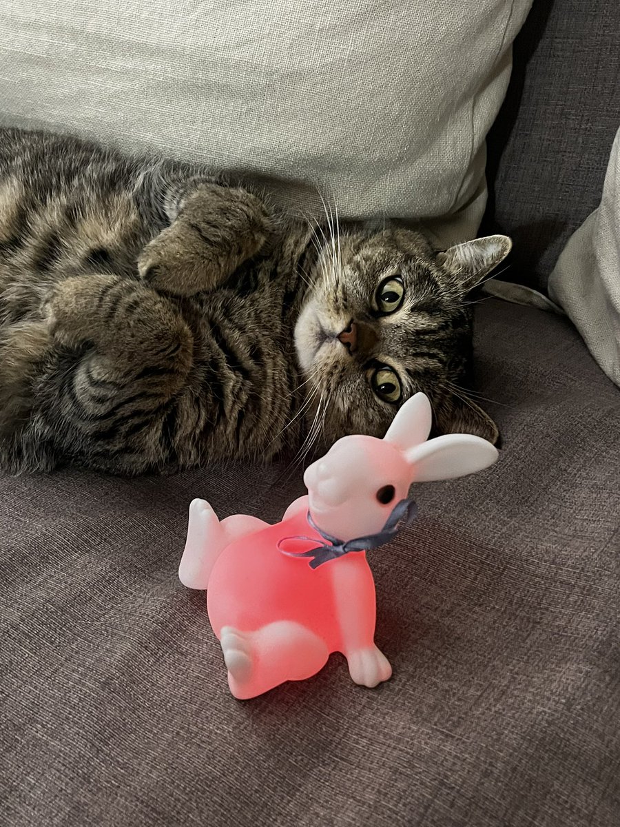 ❤️Atrebor❤️ tweet media