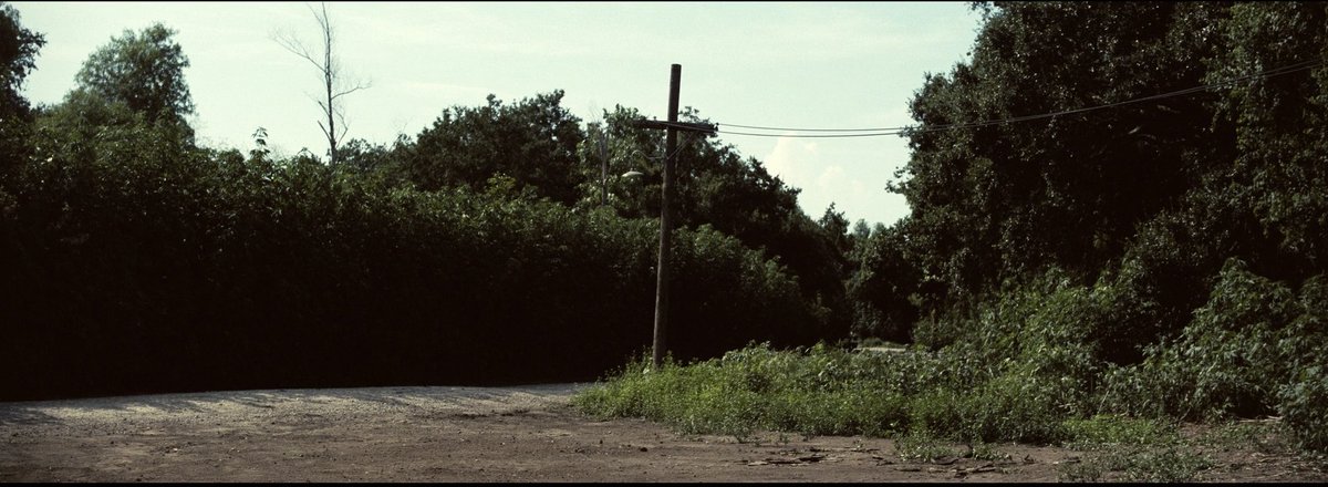 AbdulAziz Albutti. 🌸🌼 tweet media