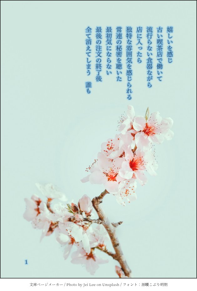 加藤莉子（莉子の詩） tweet media