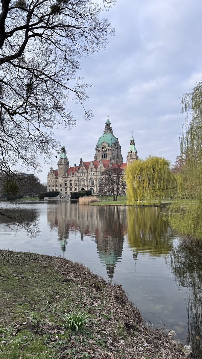 Alwaleed tweet media