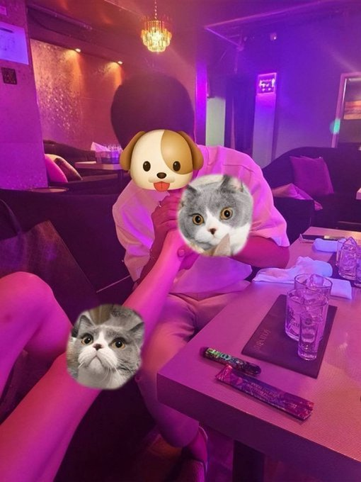 梦里听花🌙 tweet media