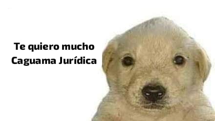 EdgarLp57059368's tweet photo. @somosdamx @darioangeles https://t.co/RKgNpKijZq