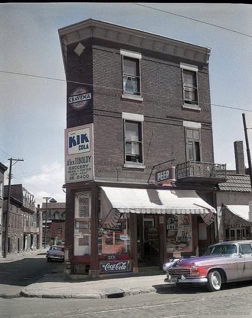 Sacha Noël tweet media