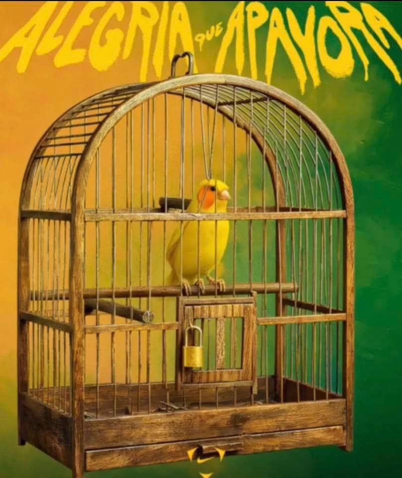 Senso Crítico ⚡ tweet media