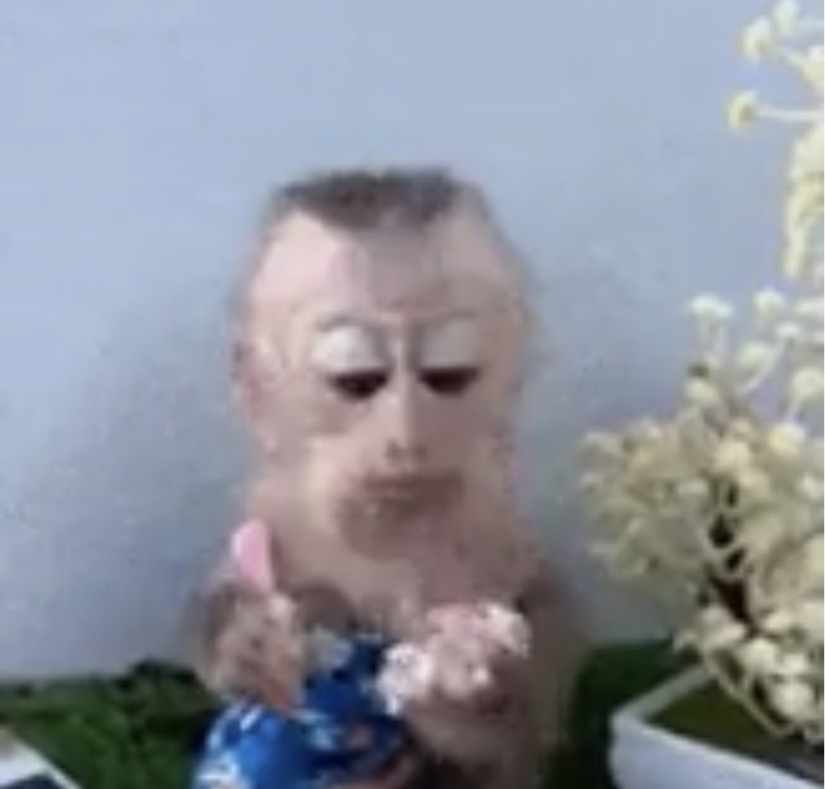 dinè !🪽 tweet media