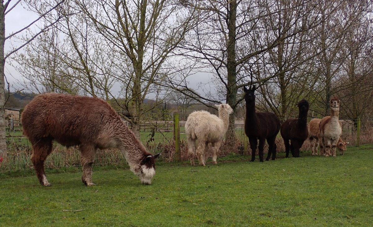 Chris Fowler tweet media