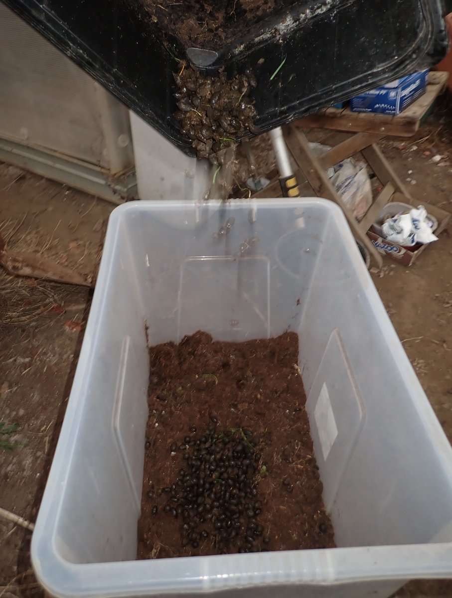 Chris Fowler tweet media