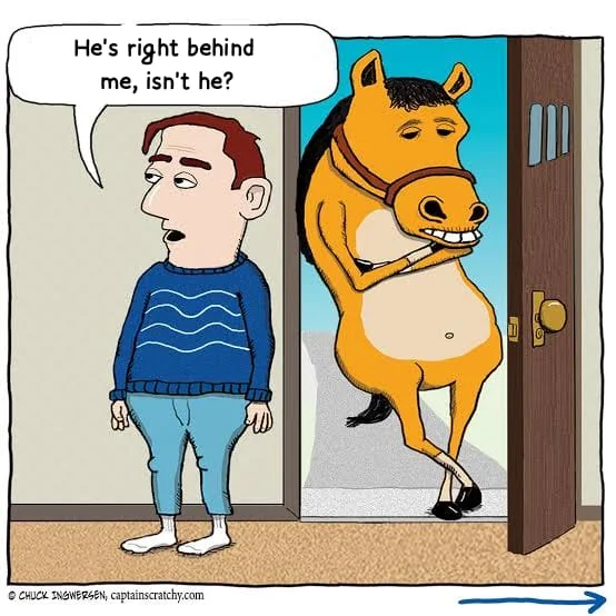 Giant Male Boar(C0MMS.OPEN👀☝️) tweet media