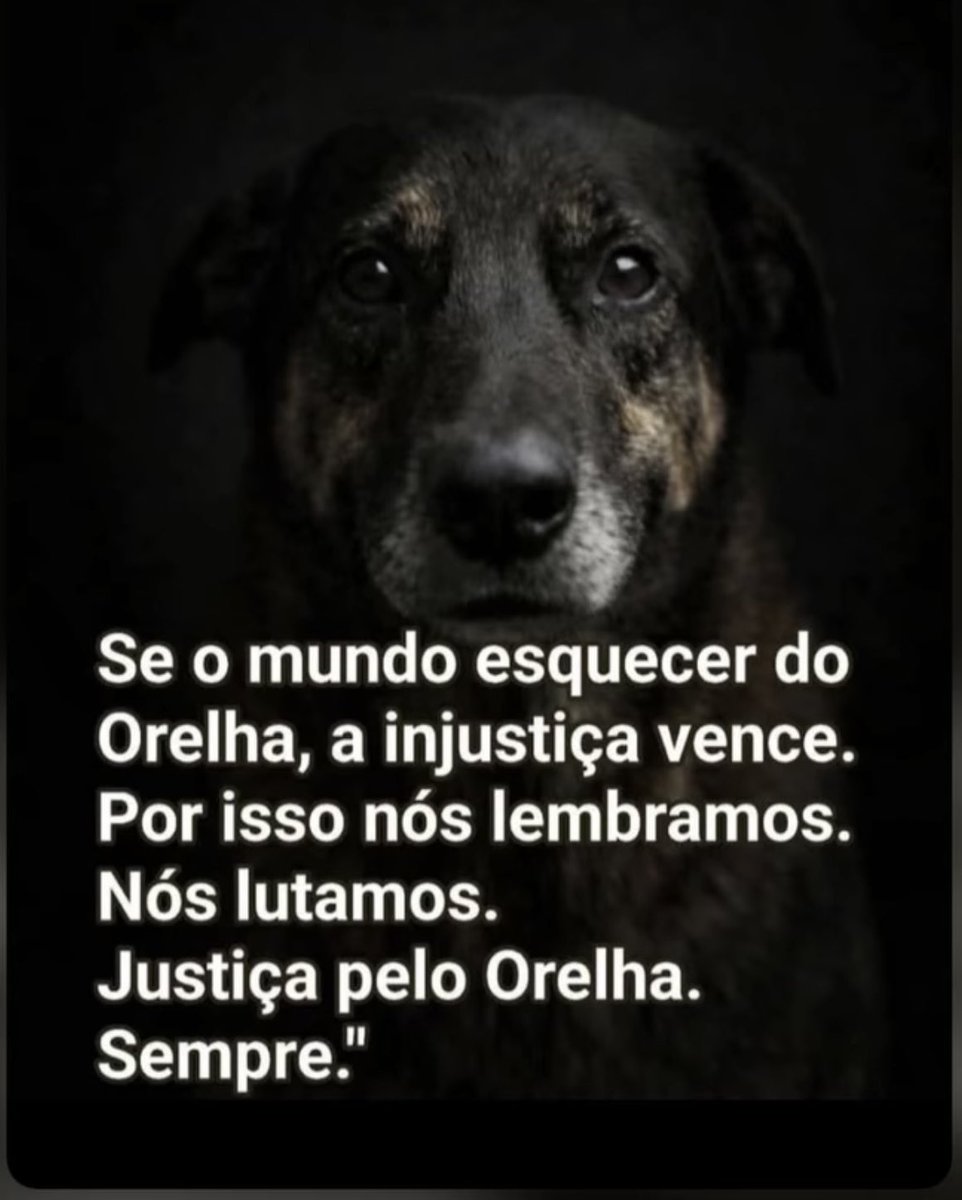 Claudius tweet media