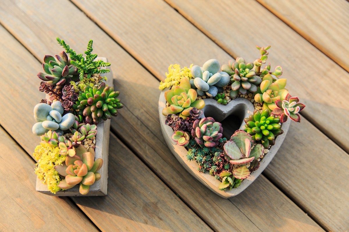 Jack Hall tweet media