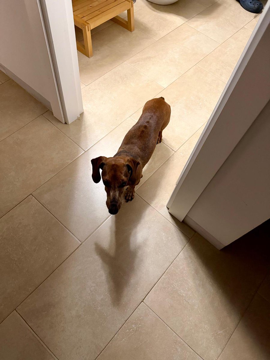 Mizuryu Kei Land tweet media