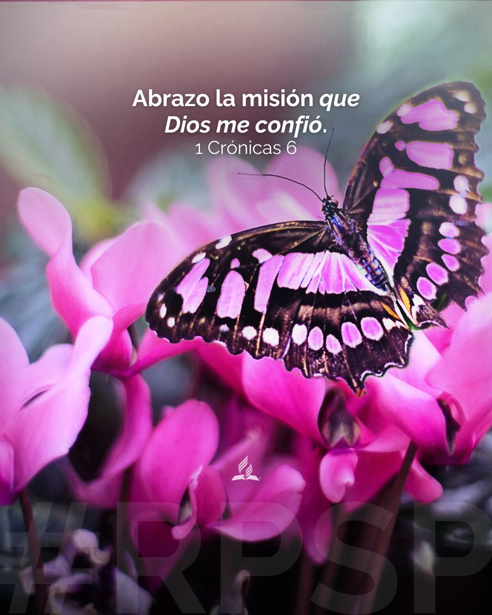 Dios me confió algo único, y elijo cumplirlo con responsabilidad. ✨

👉 Reafirma tu llamado.
🤗🙏🏼 #rpsp #PrimeroDios #1Crónicas6

📖 🎧 Escucha este RPSP: adv.st/reavivadospors…