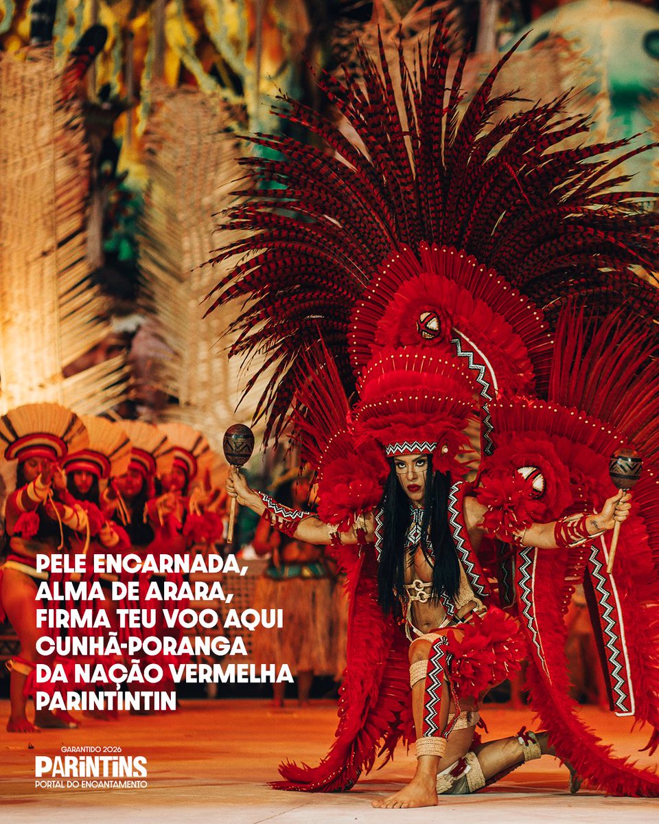 Boi Garantido tweet media