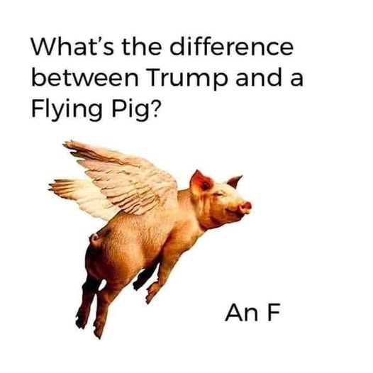 elseagee 🟧 🌊 🌊 🌊🎨 🎸 tweet media