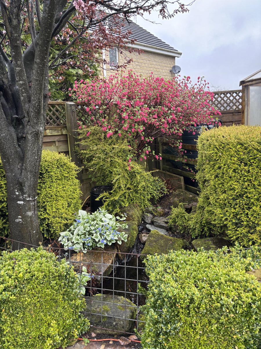 Janet Whincup tweet media