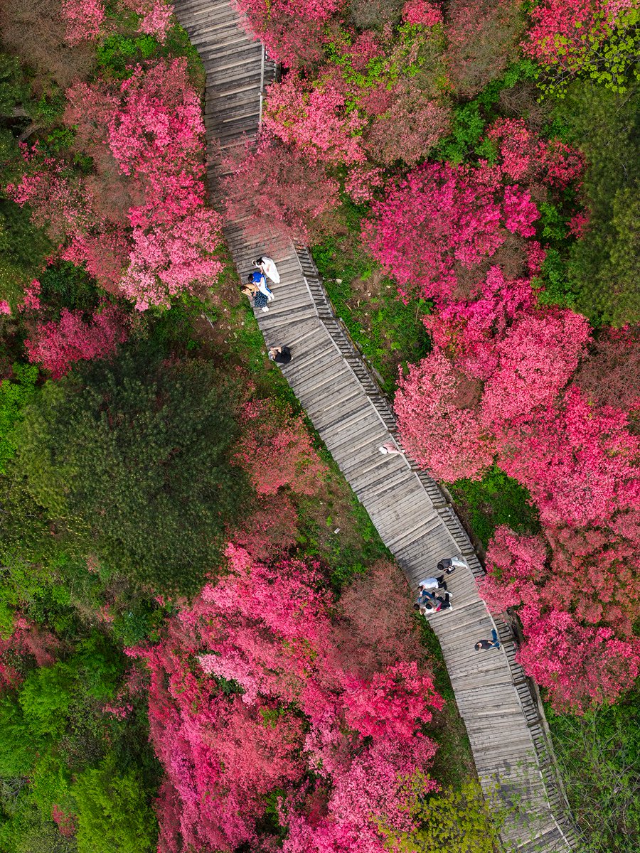 Shane Hughes tweet media