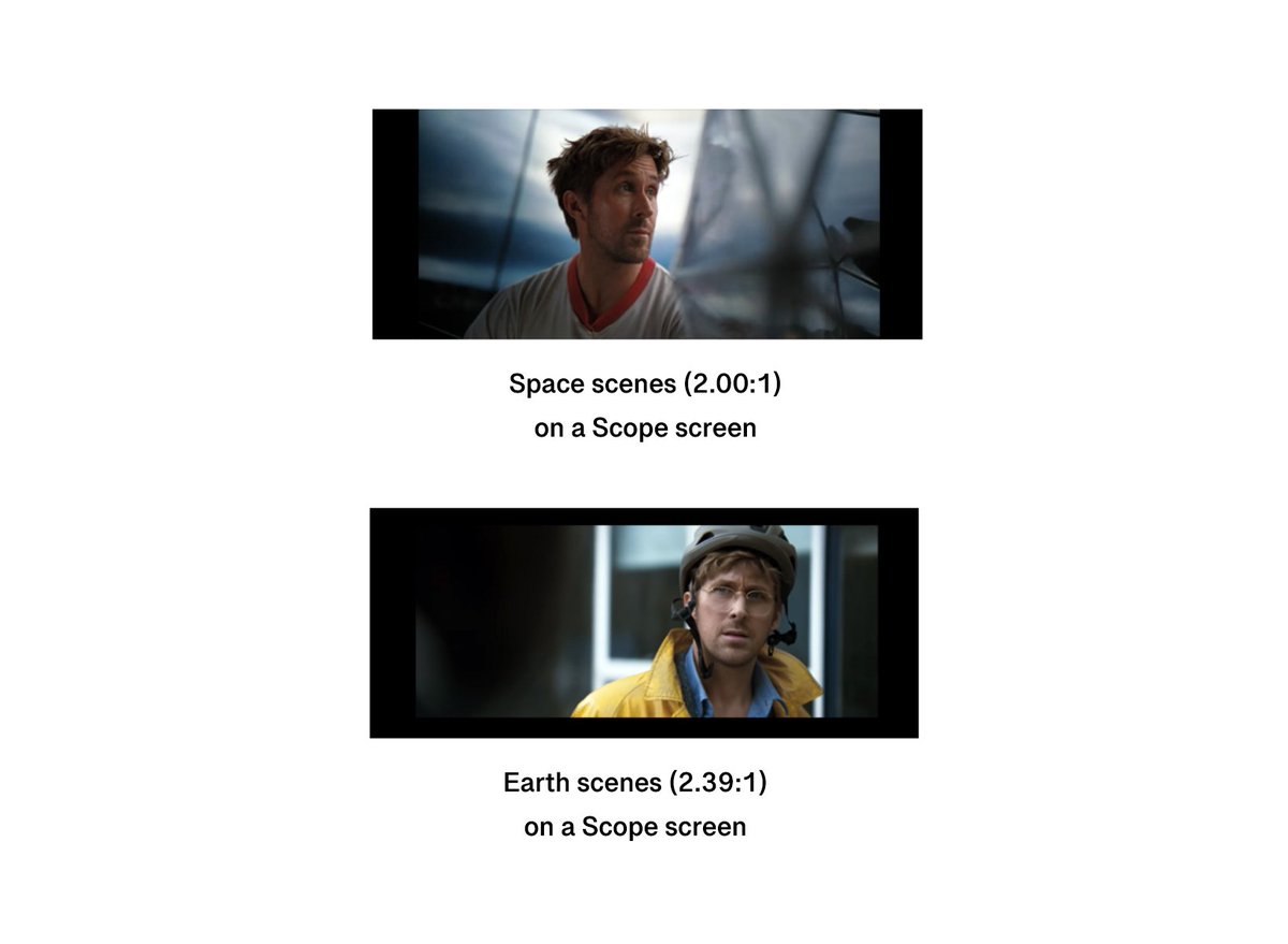 Project Hail Mary Updates tweet media