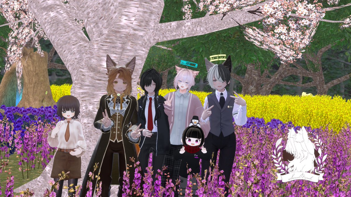 _波瑠_ tweet media