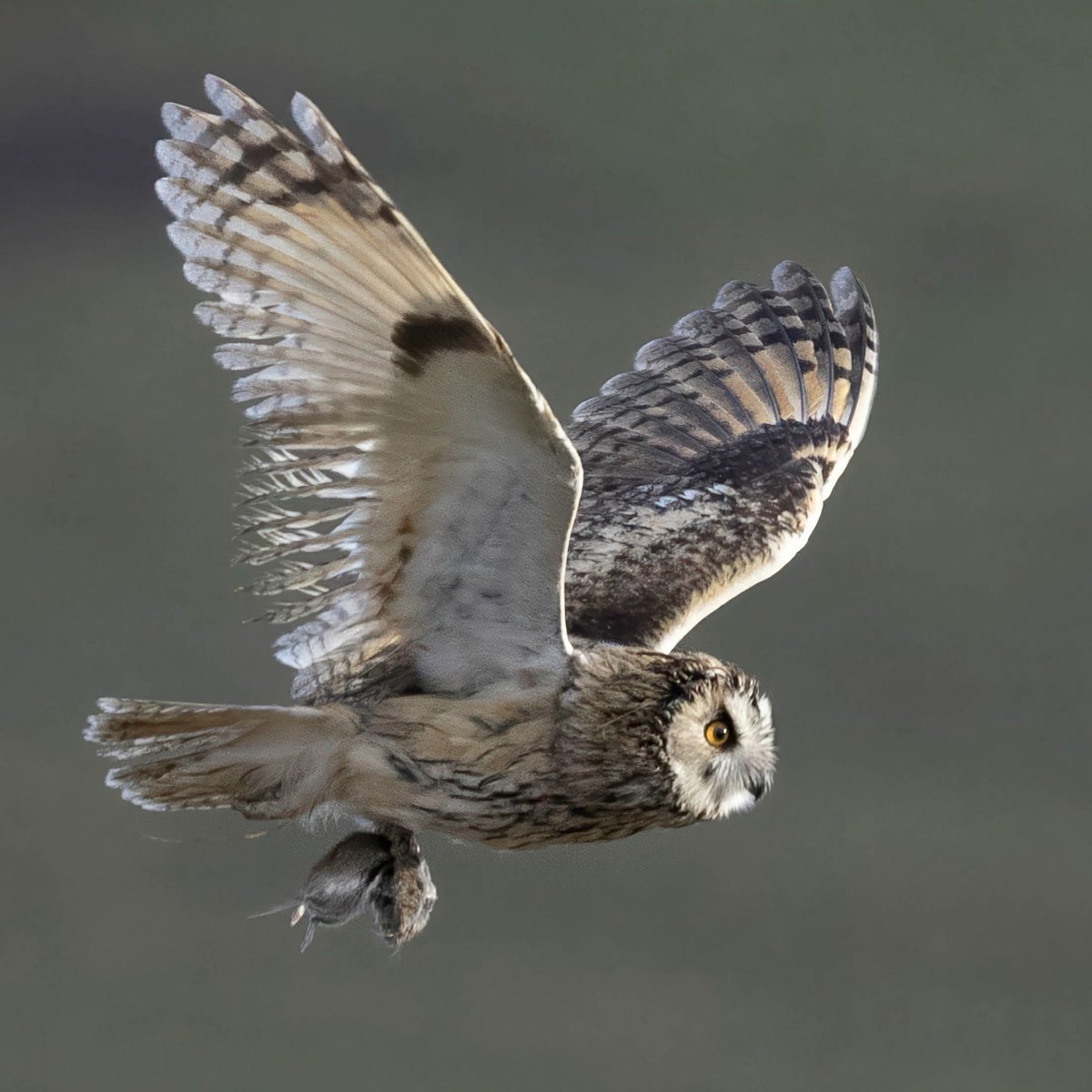 𝖢𝗅𝗈𝗌𝖾𝟤𝖱𝗂𝗏𝖾𝗋𝗌 tweet media