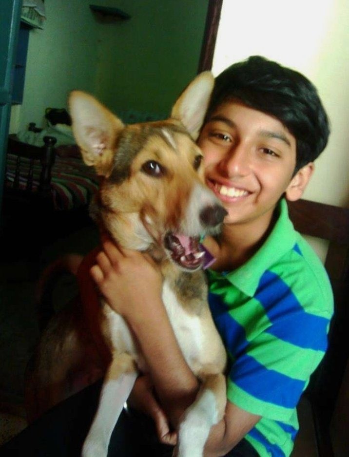 Randomparticle tweet media