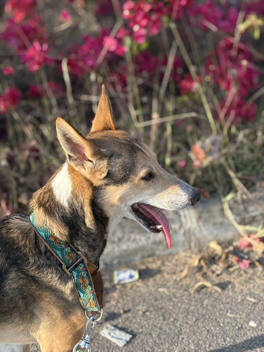 Randomparticle tweet media