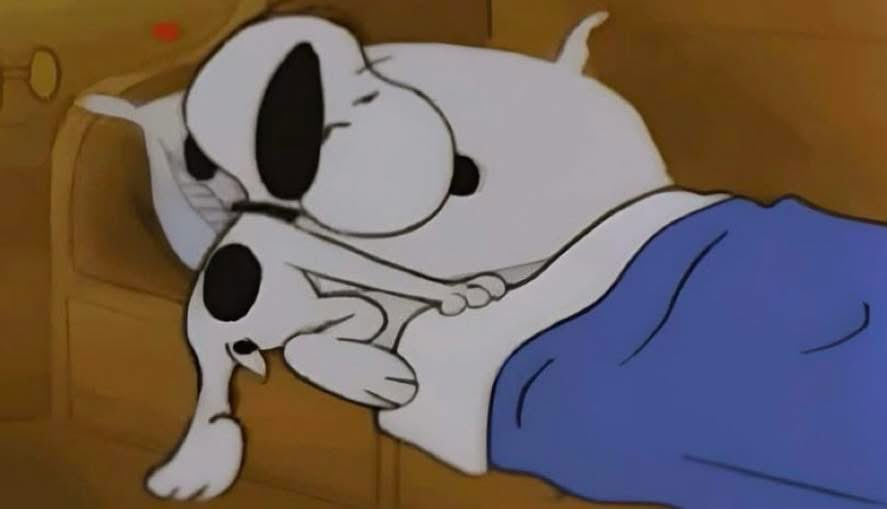 Salvador Iglesias Jr tweet media