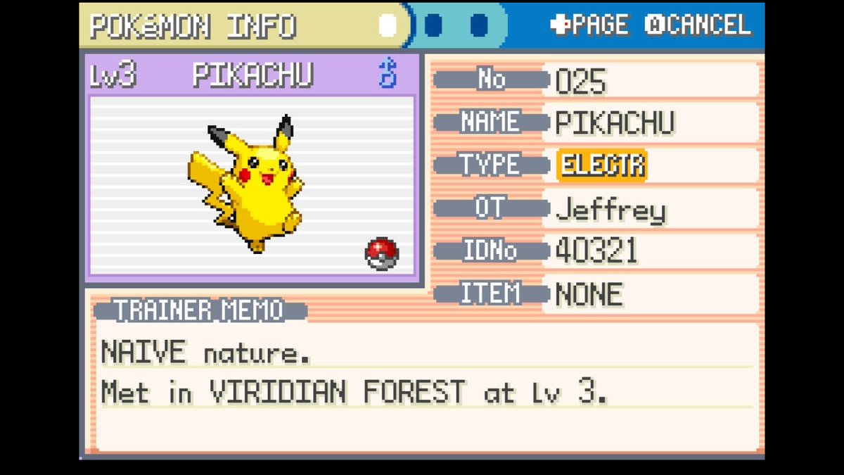 🦇CozyBat 🐇 tweet media