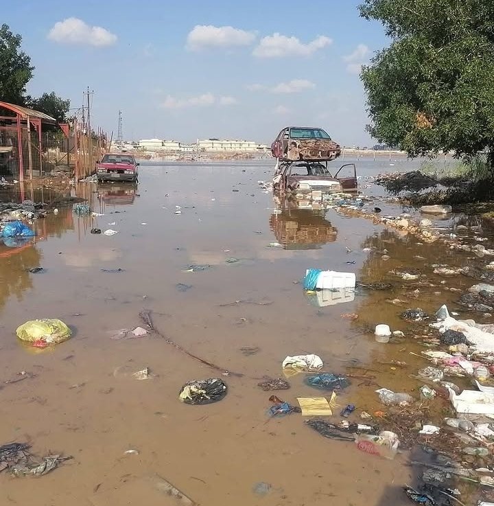 ميلا ..🇮🇶 tweet media