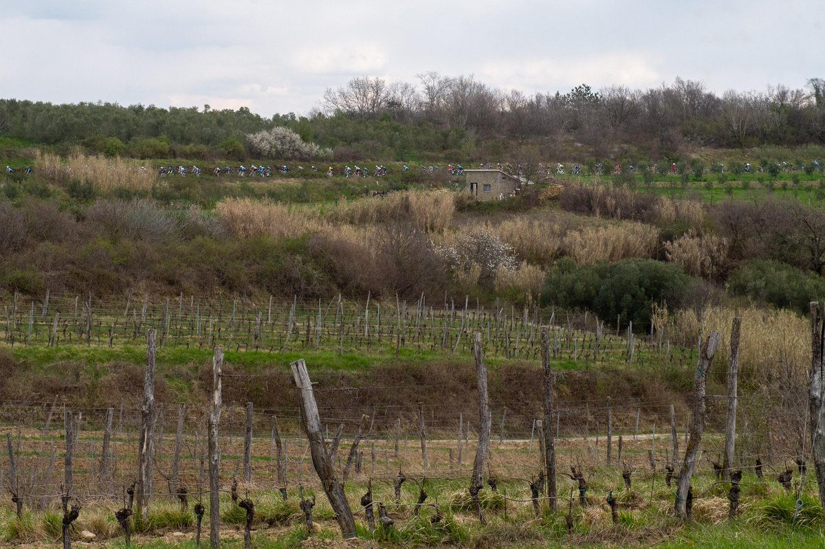 Pogi Team Gusto Ljubljana tweet media