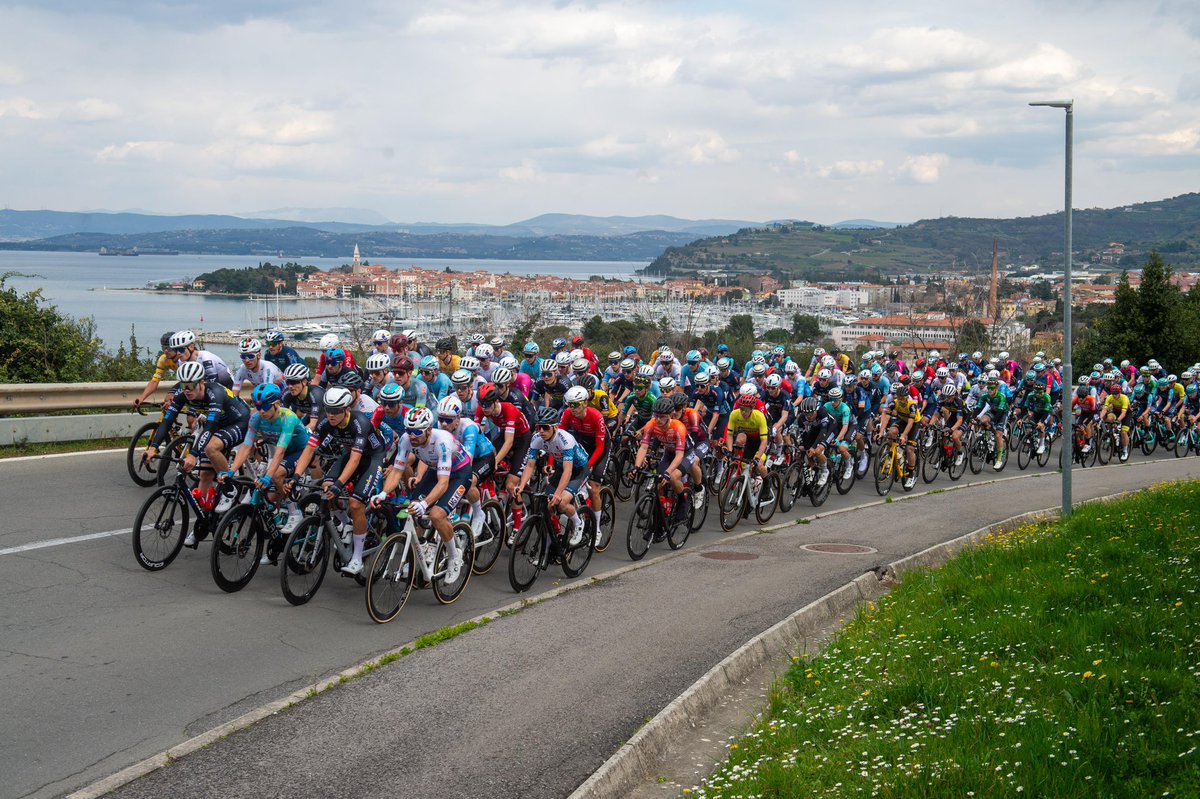 Pogi Team Gusto Ljubljana tweet media