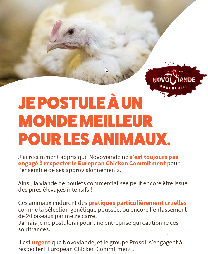 NonHumain's tweet photo. #Novoviande #Boucherie #Viande #Prosol #GroupeProsol #L214 https://t.co/PTMLw3ZUru